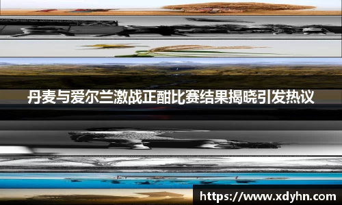 丹麦与爱尔兰激战正酣比赛结果揭晓引发热议
